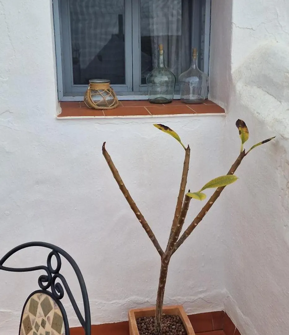 La Casa De Abuela: Adult-Only Historic Frigiliana Guesthouse Bed & Breakfast